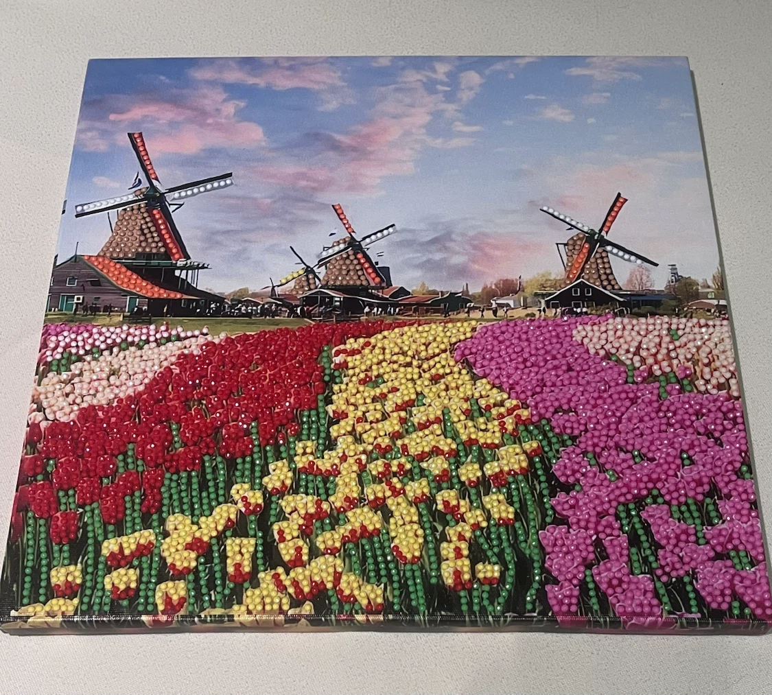 Diamond Art Paintings Set