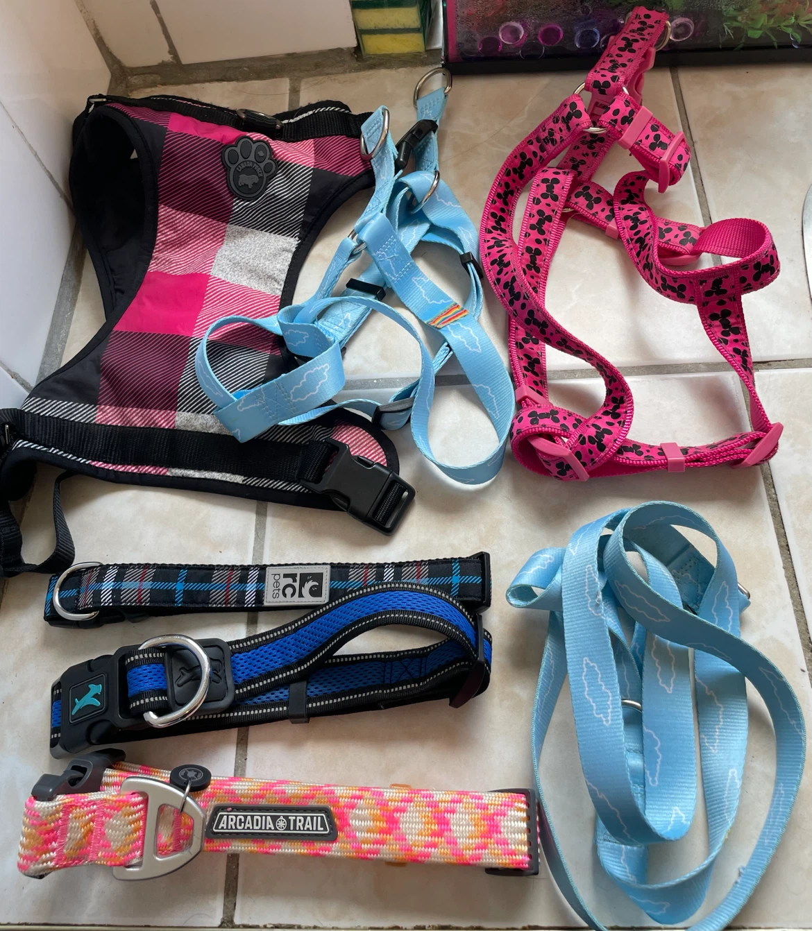 Large Dog Harnesses & Collars Lot