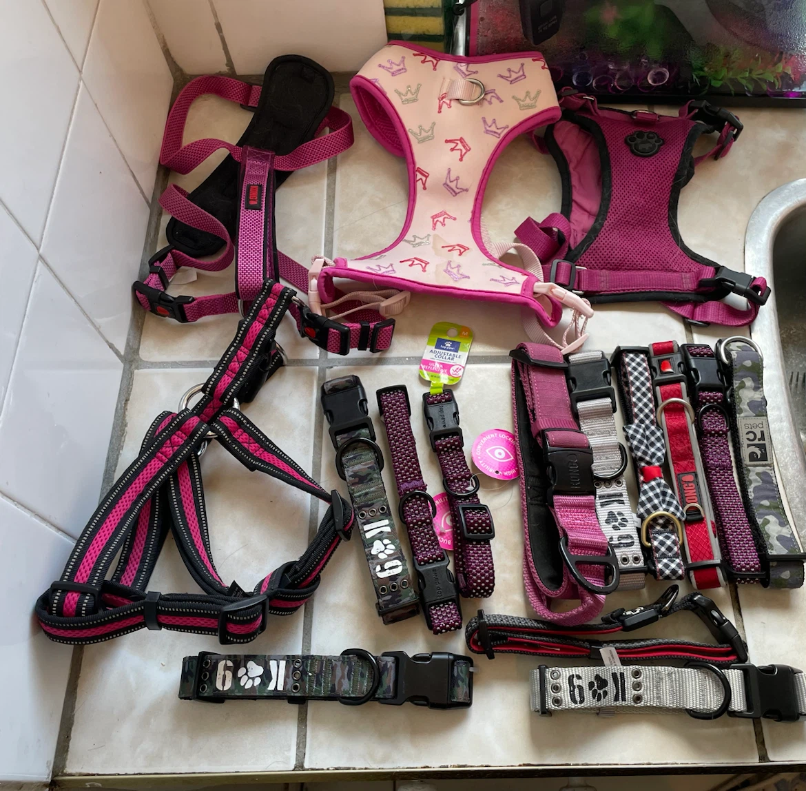 Medium Dog Harnesses & Collars Lot