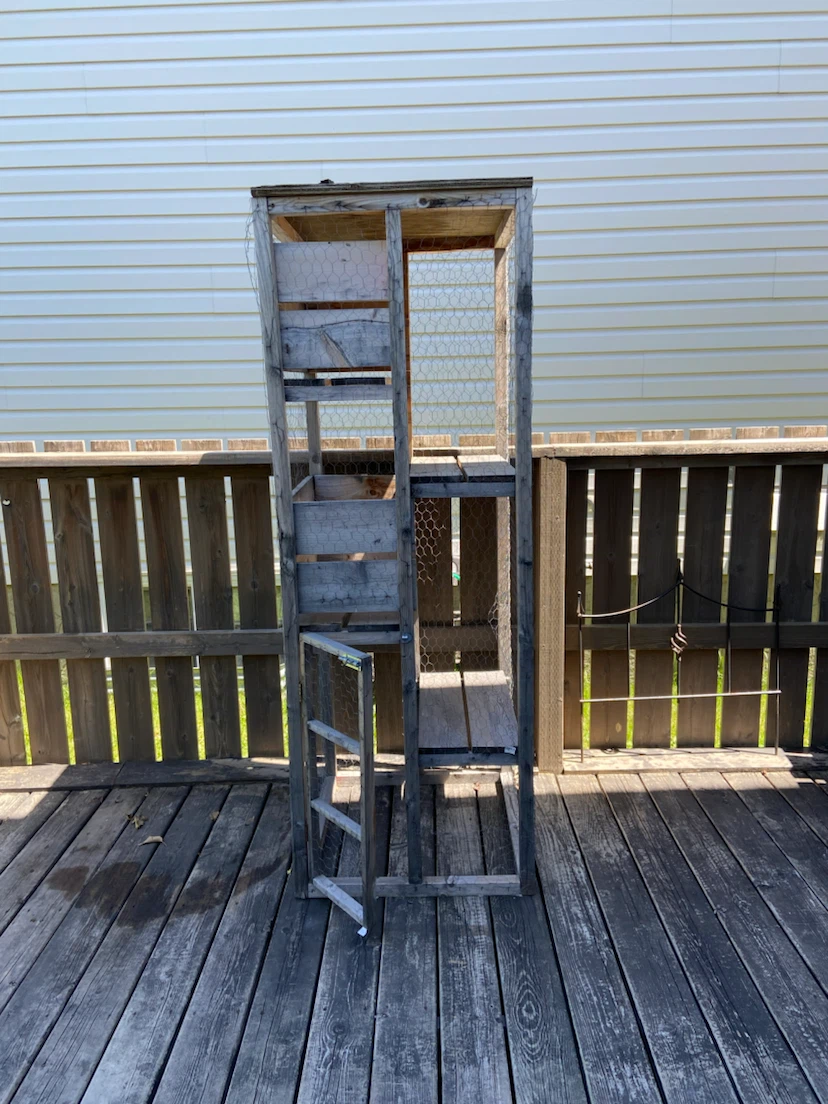 Catio