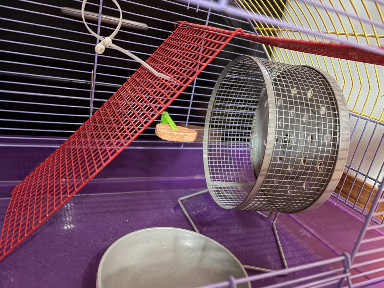 Hamster Cage with Accessories - photo 3