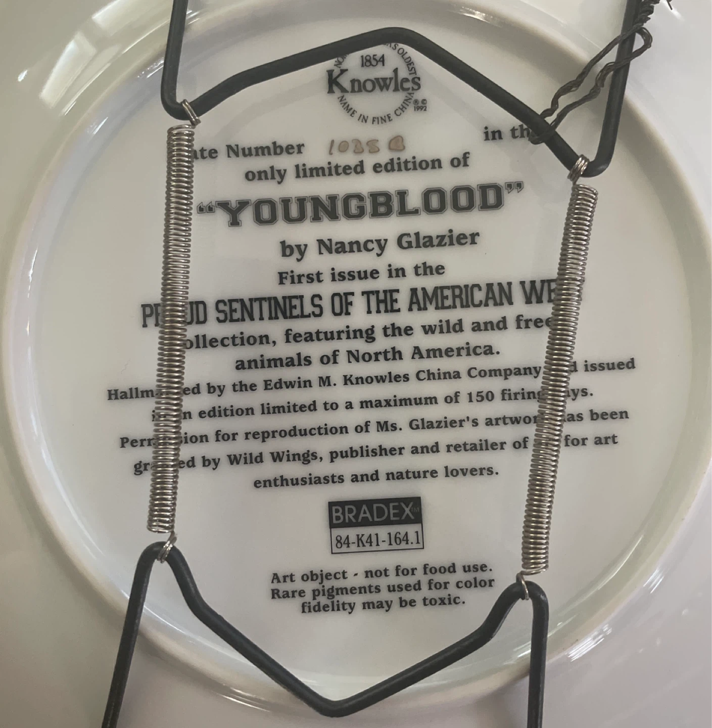 Knowles "Youngblood" Collector Plate by Nancy Glazier - photo 3