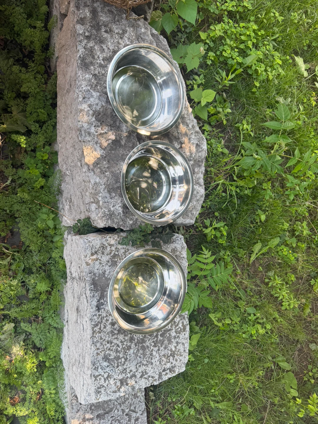 Set of 3 Stainless Steel Pet Bowls