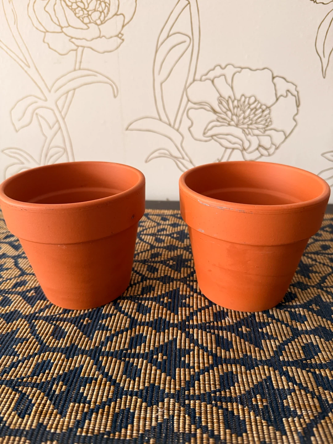 Two Terracotta Pots