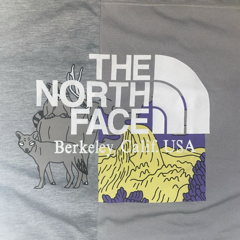 THE NORTH FACE PURPLE LABEL Crazy Logo T-Shirt Sz Small - photo 4