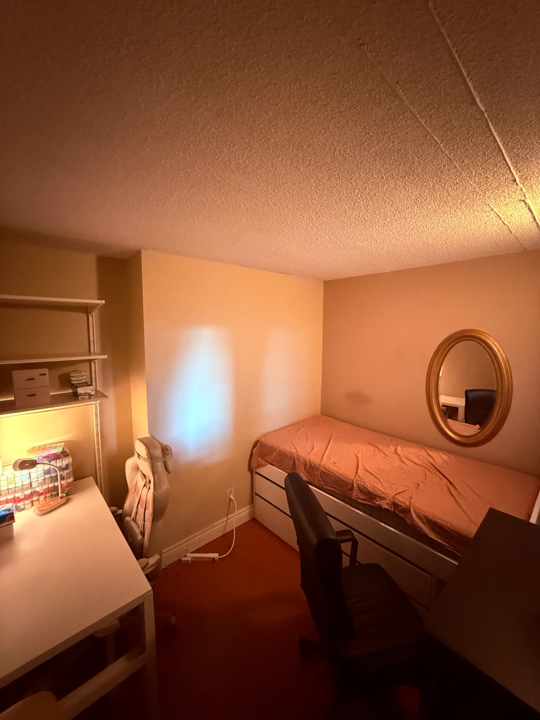 Looking for a roommate!