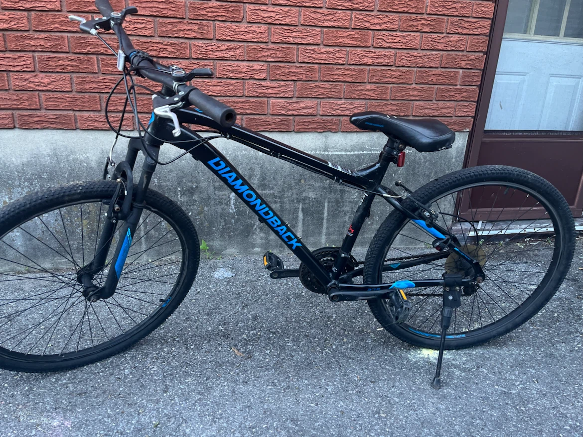 Diamondback Mountain Bike