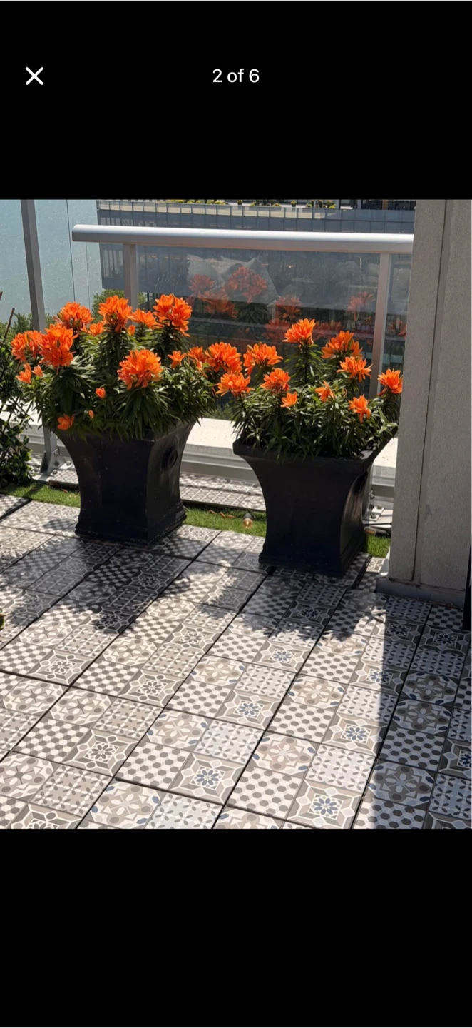 Two black planters with orange flowers