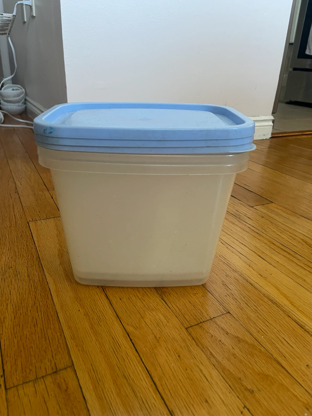 Plastic Food Storage Container with Blue Lid