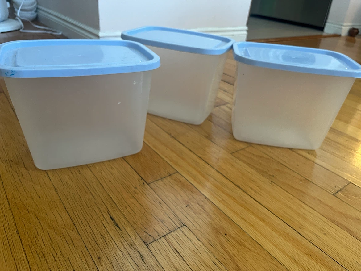 Plastic Food Storage Container with Blue Lid - photo 2
