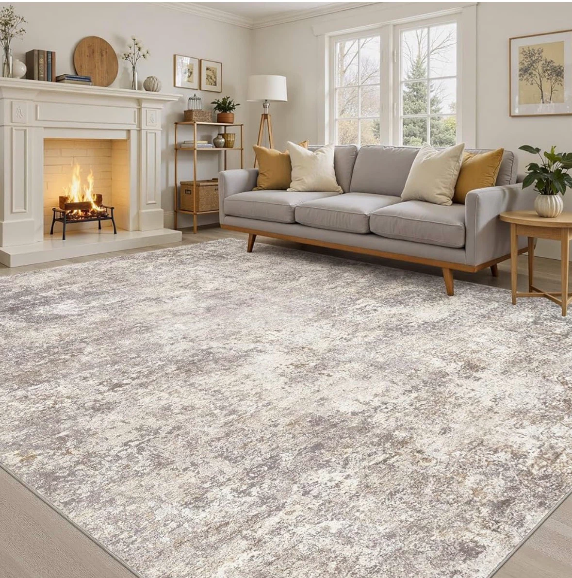 Distressed Area Rug