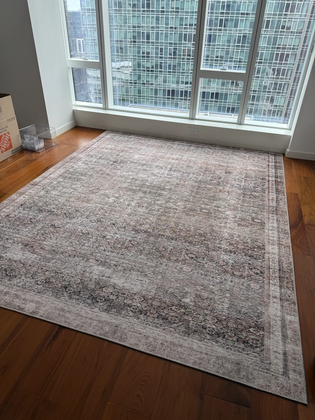 LOLOI Rug