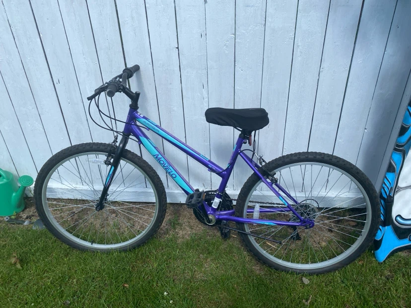 Moving Sale: Bikes, BMX, Longboard, Scooter & Sled - photo 4
