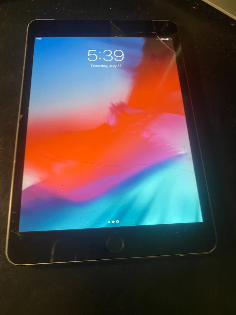 Apple iPad