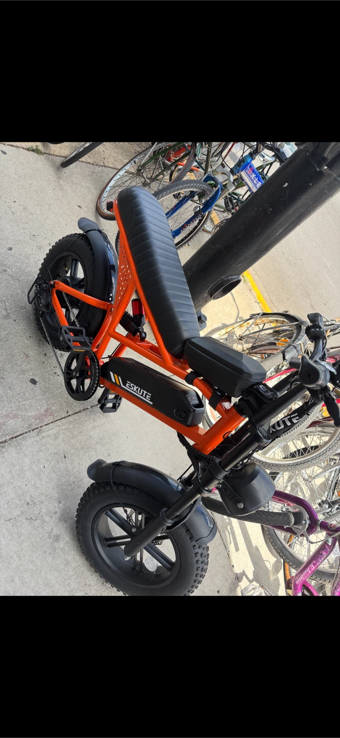 Eskute Electric Fat Tire Bike