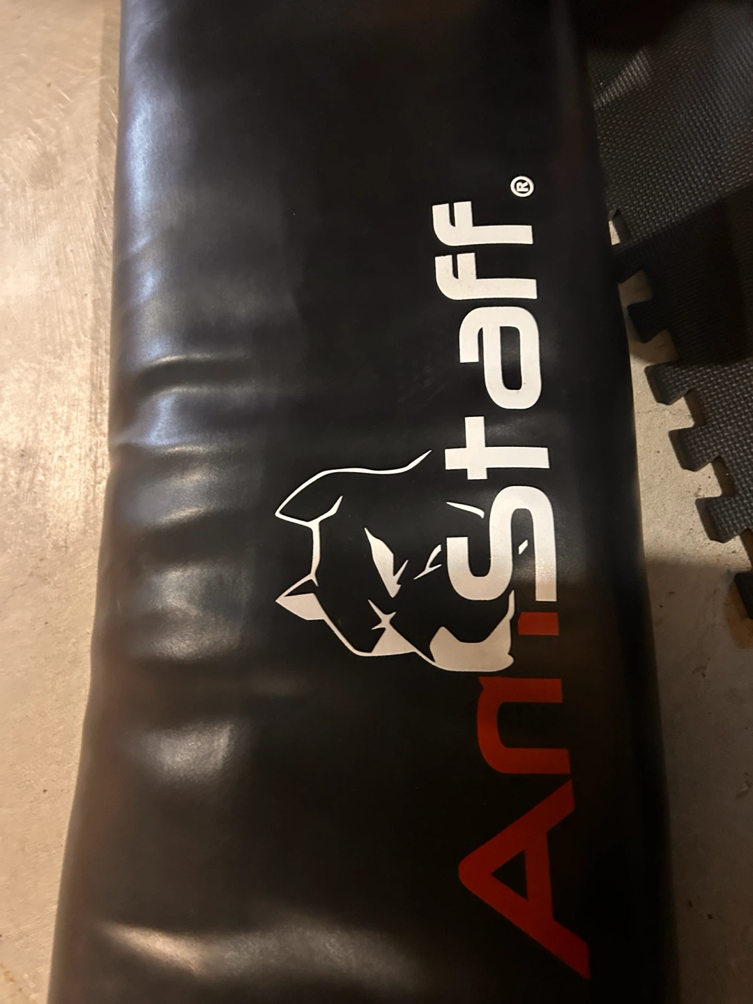 Ann-Staff Punching Bag