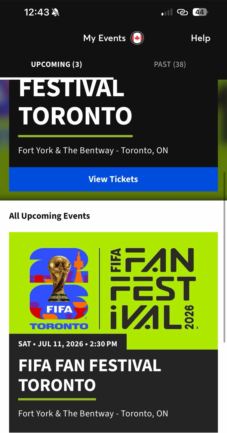 FIFA Fan