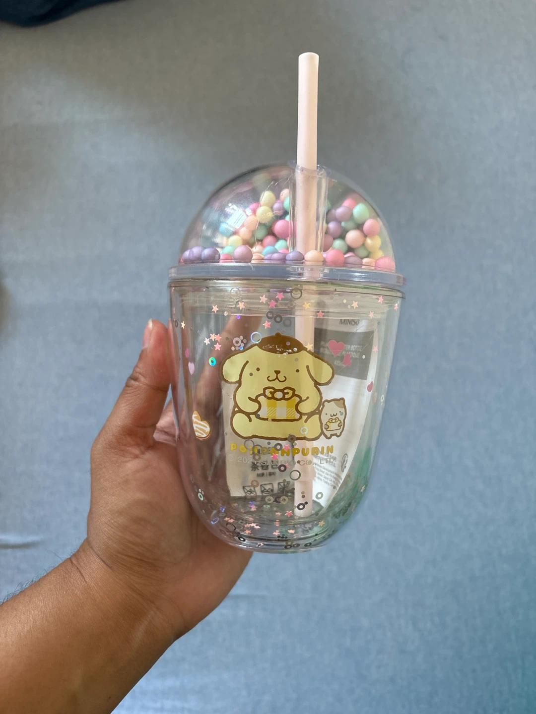 Sanrio Pompompurin Portable Water Bottle