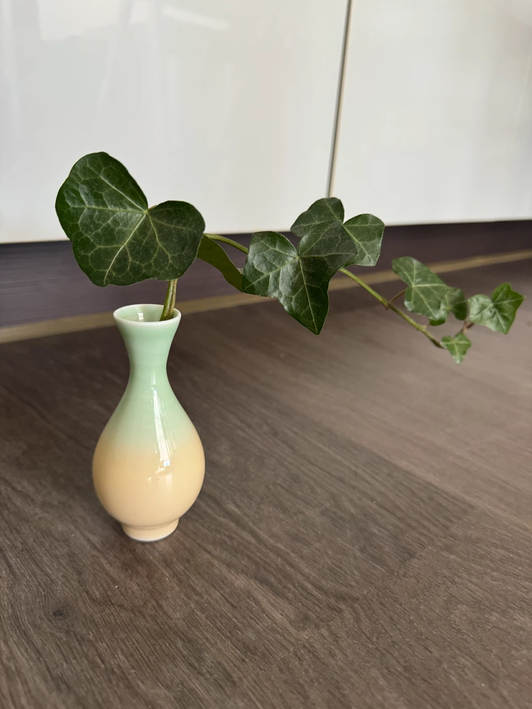 Small Decorative Vase with Green and Yellow Glaze and rooted ivy
