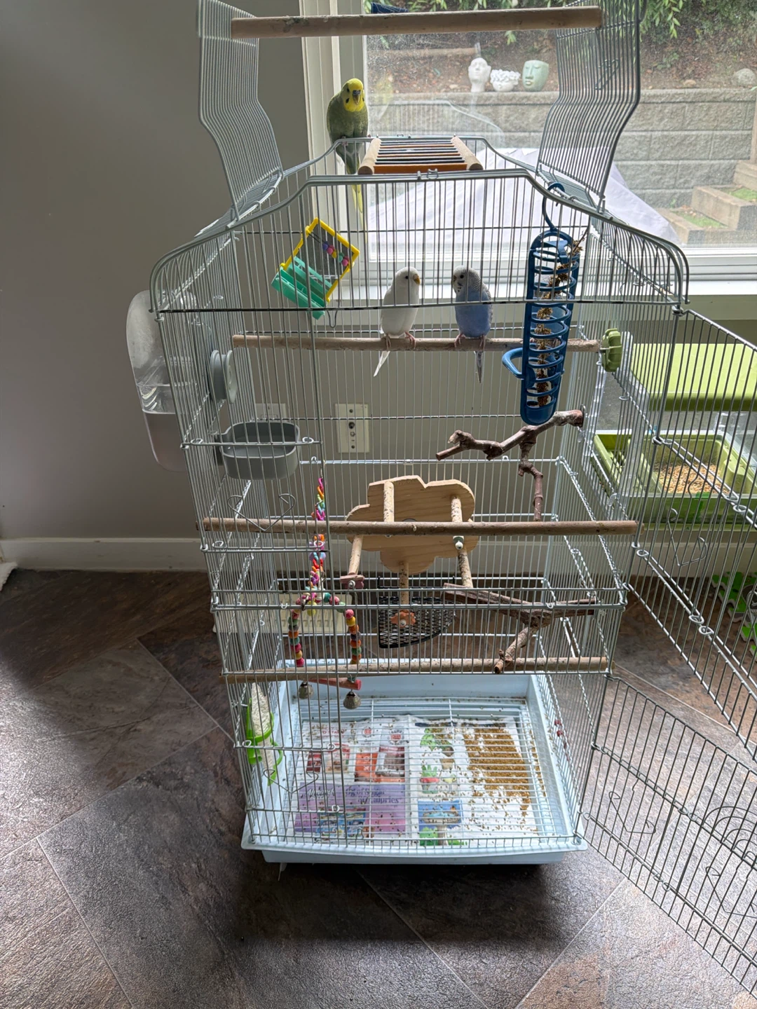 Bird Cage with Accessories 4 budgies different colors