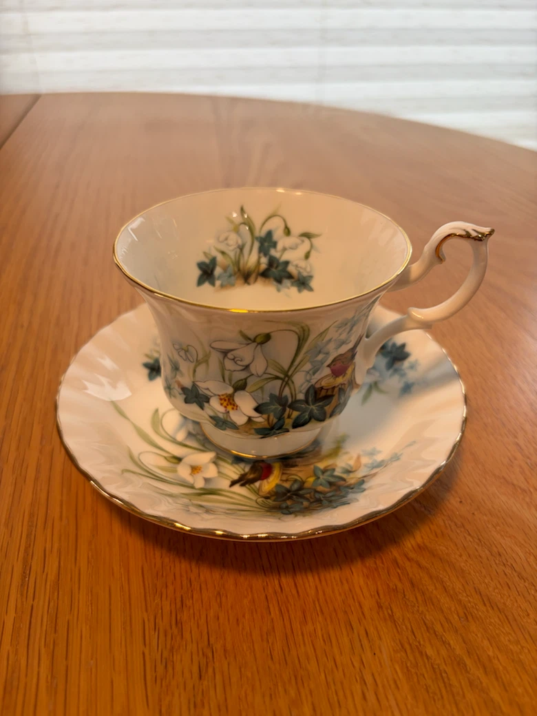 Royal Albert Bone China Teacup and Saucer Set