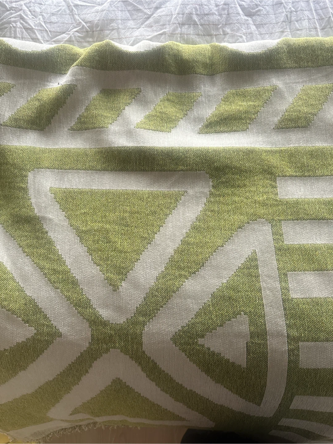 Couch Cover/Throw Blanket