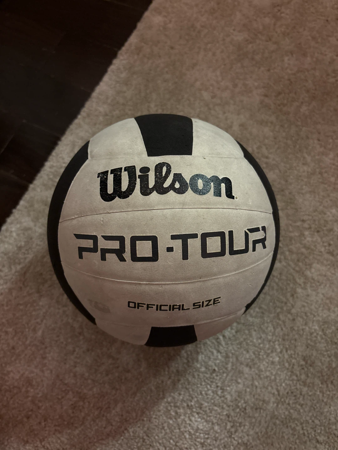 Wilson Pro Tour Official Size Volleyball