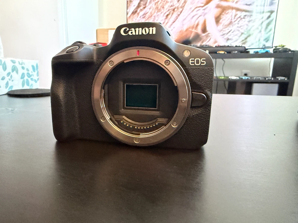 Canon EOS R50 Mirrorless Camera Body Only
