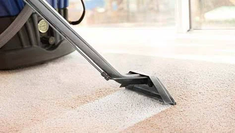 Carpet steam cleaning