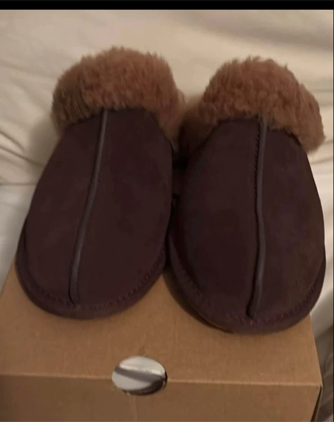 Women Ugg scuffette ll burnt cedar