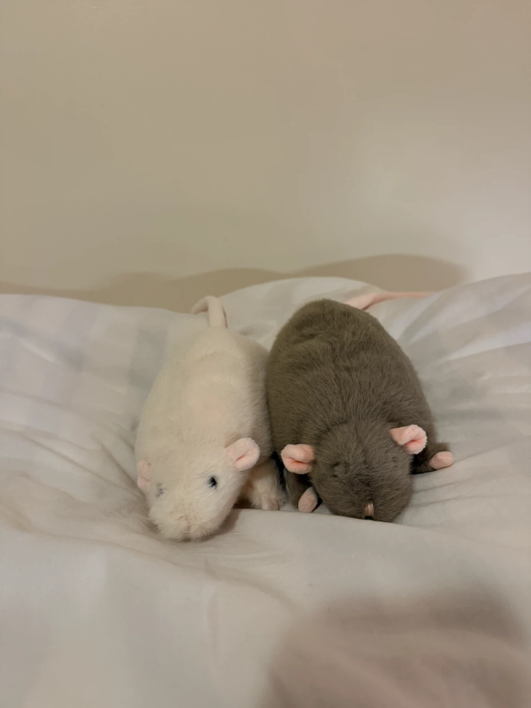 Plush Rats Stuffed Animals Set - photo 2