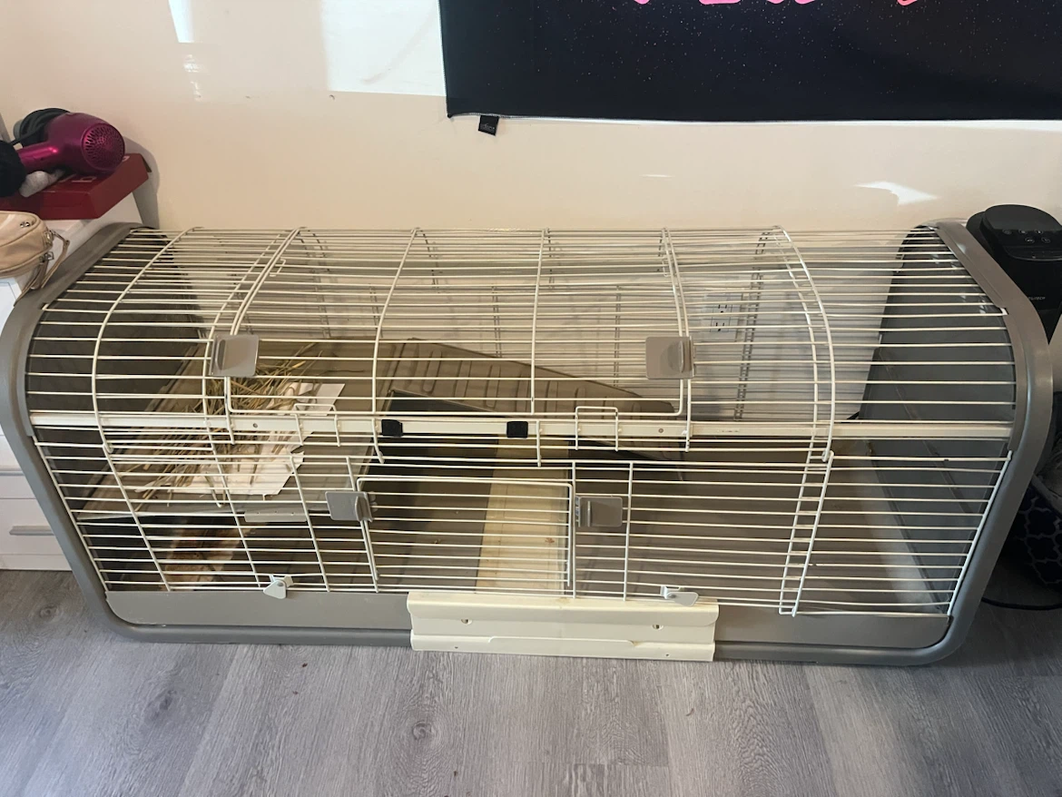 Rabbit cage