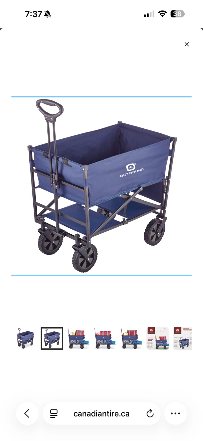 Outbound Navy Blue Folding Wagon