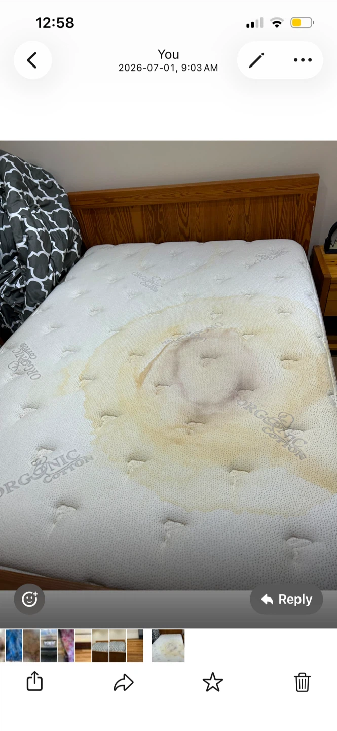 Organic Cotton Mattress