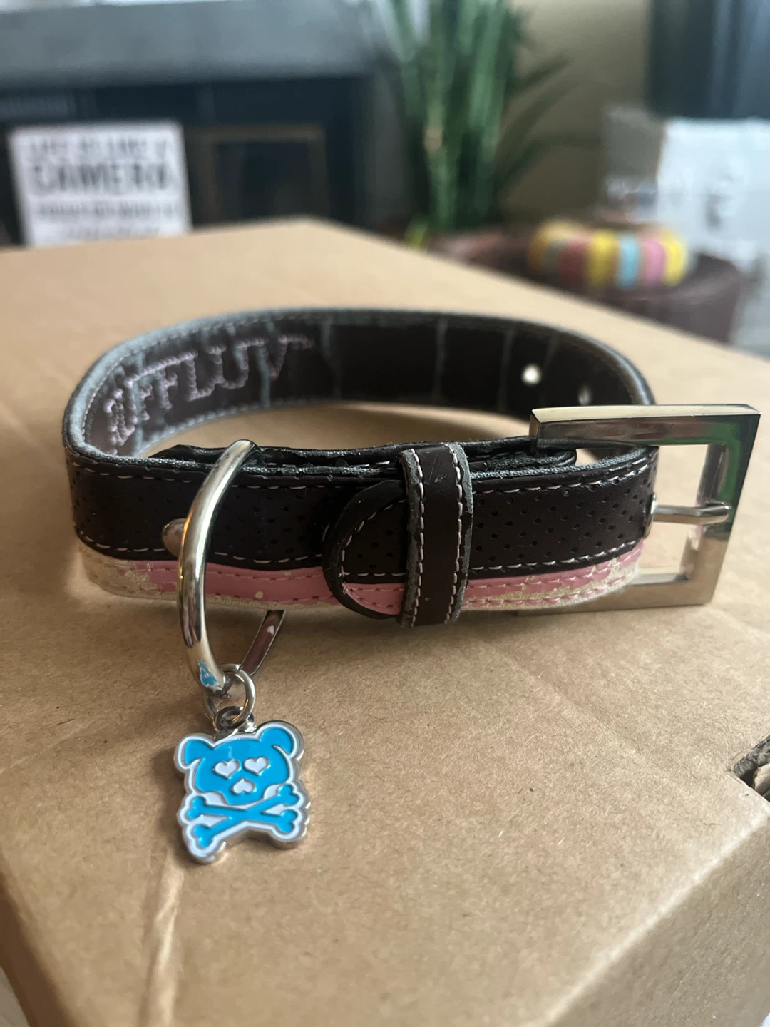 Free collar with any purchase