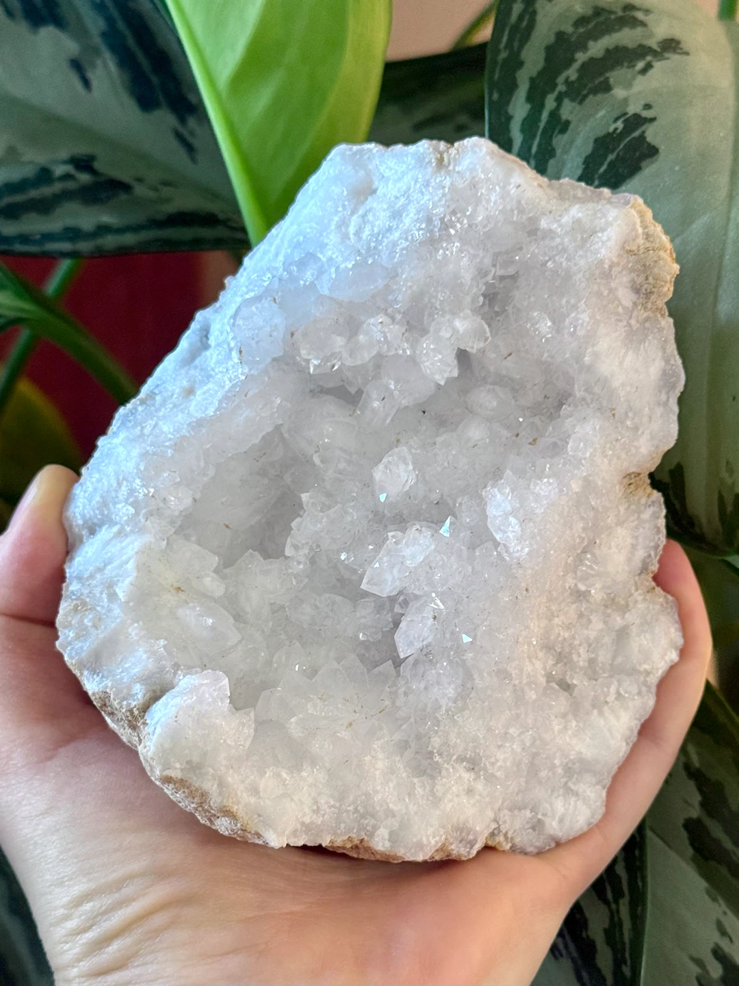 Large Mexican Quartz Geode Crustal Cluster - photo 3