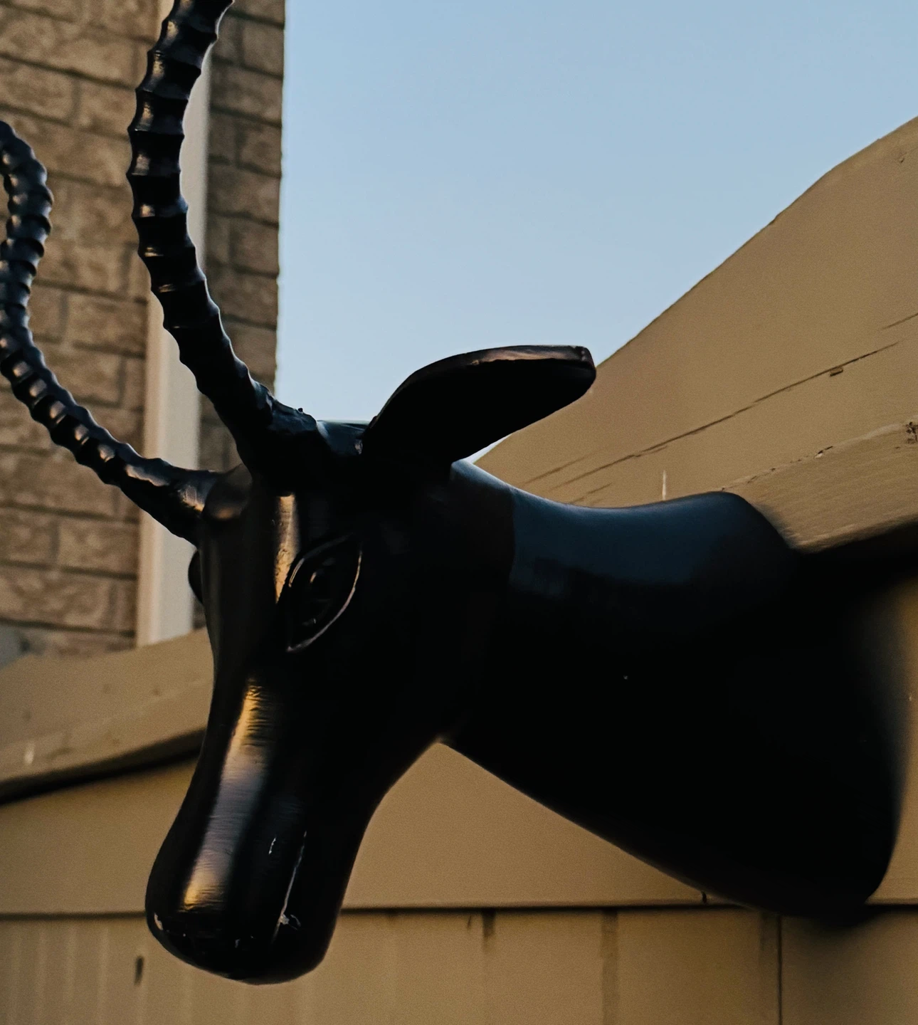 Black Faux Antelope Head Wall Mount (made with heavy metal)