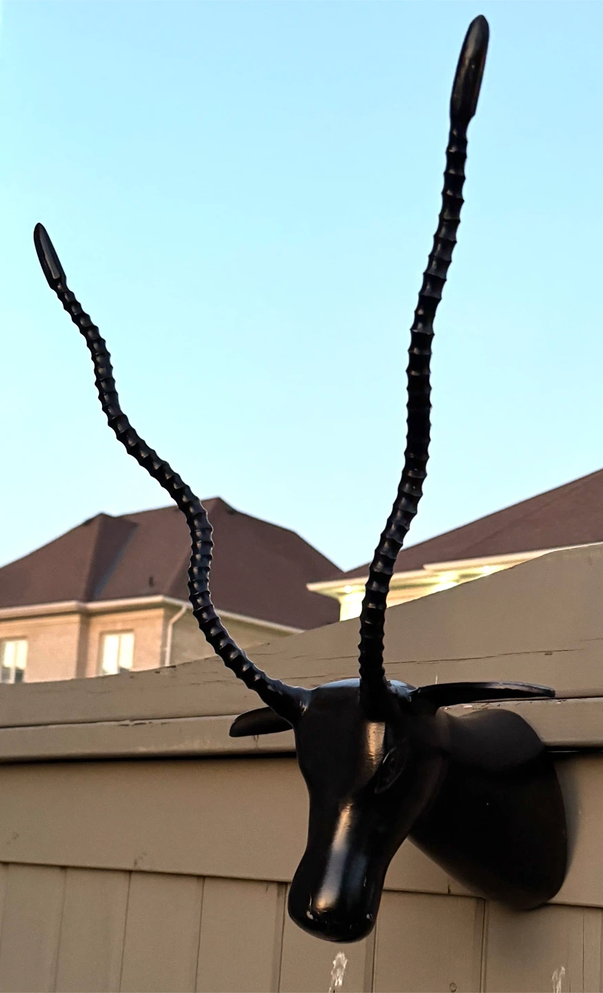 Black Faux Antelope Head Wall Mount (made with heavy metal) - photo 3