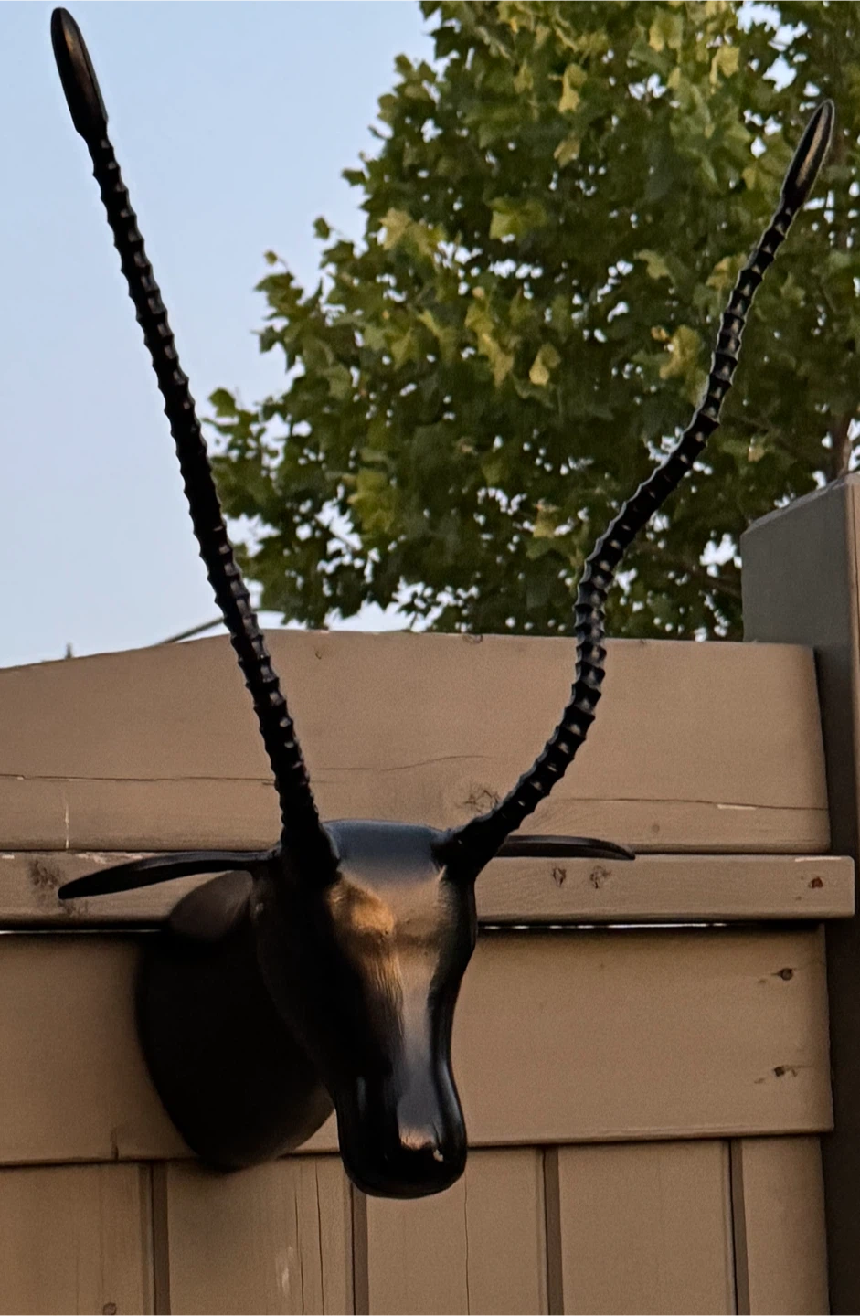 Black Faux Antelope Head Wall Mount (made with heavy metal) - photo 4