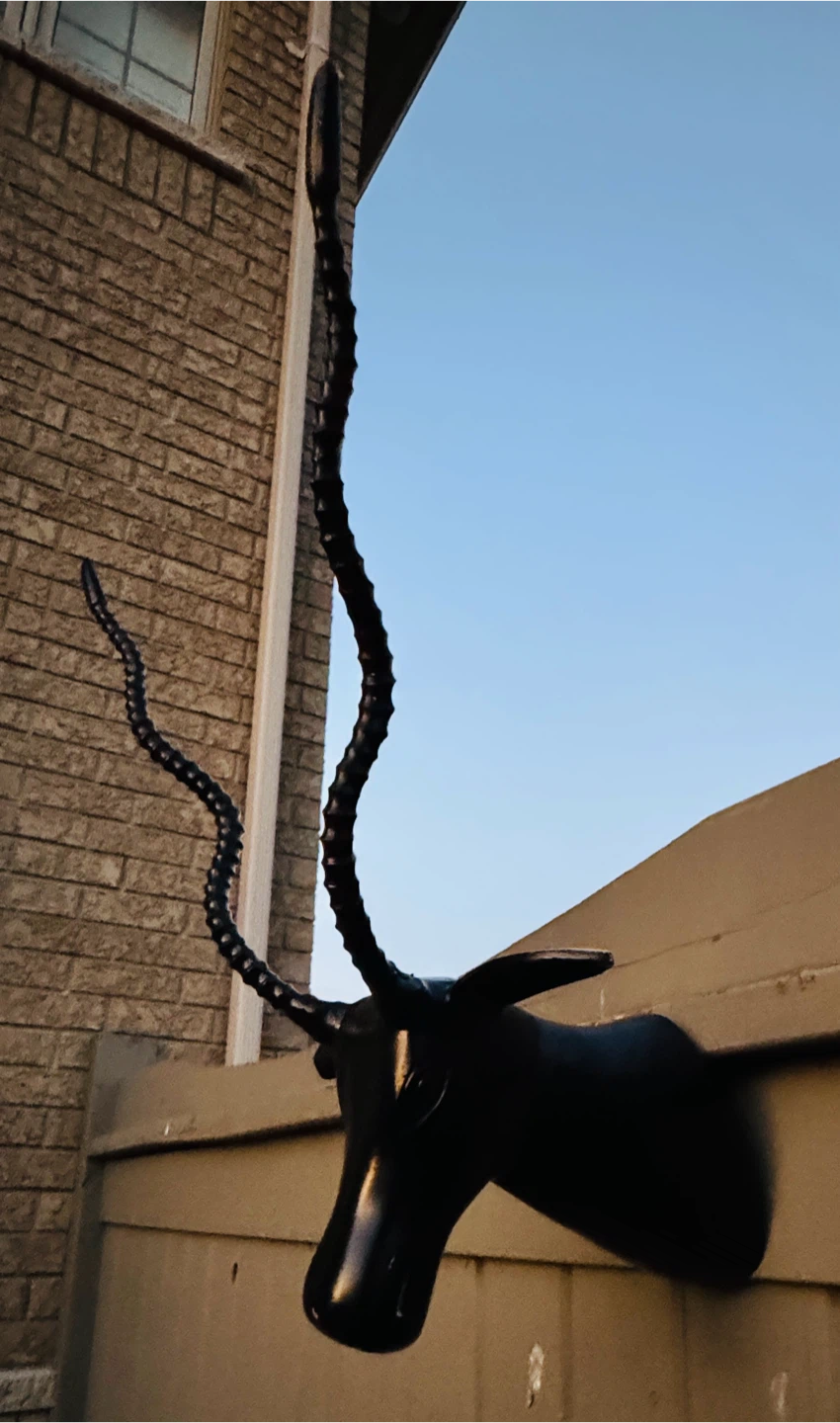 Black Faux Antelope Head Wall Mount (made with heavy metal) - photo 5