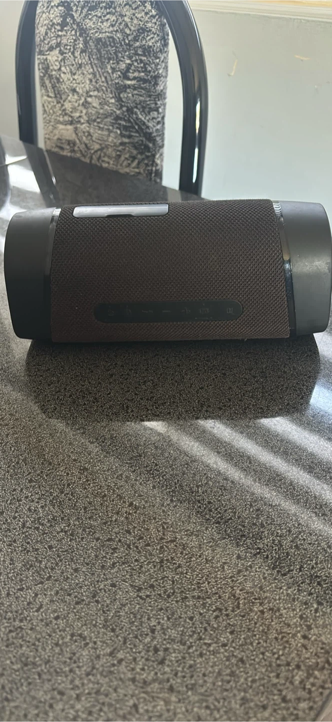 Sony Portable Bluetooth Speaker - photo 2