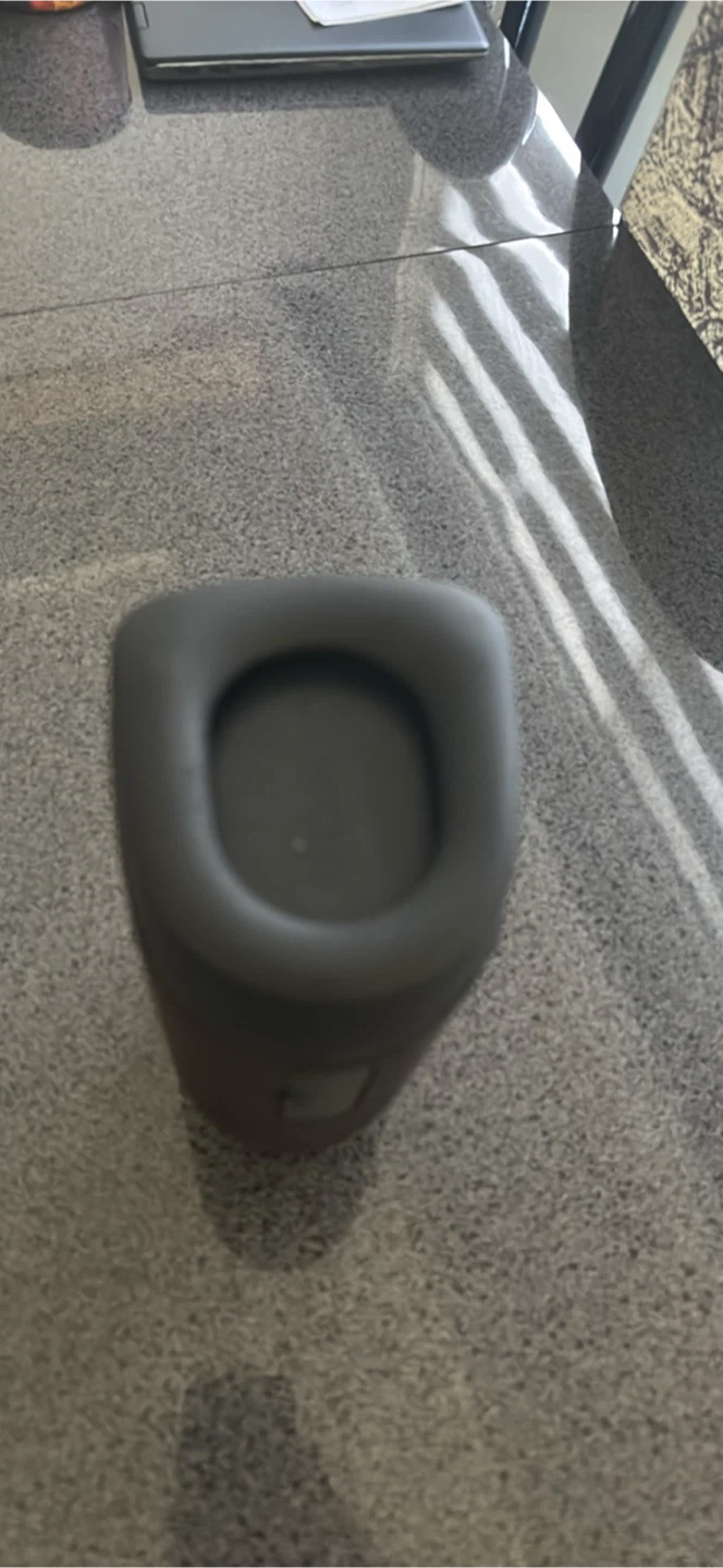 Sony Portable Bluetooth Speaker - photo 3