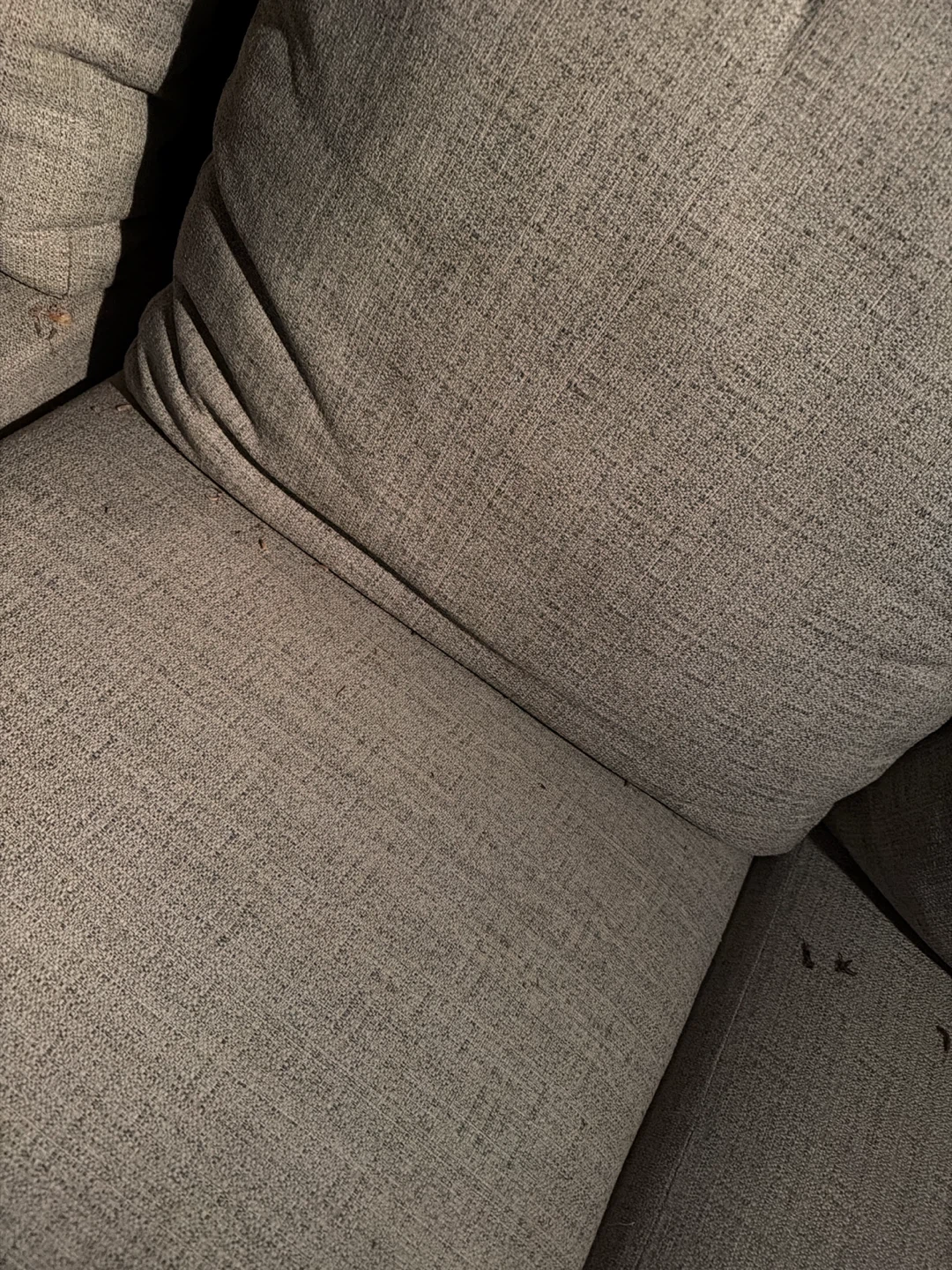 Outdoor Sofa with Cushions - photo 3