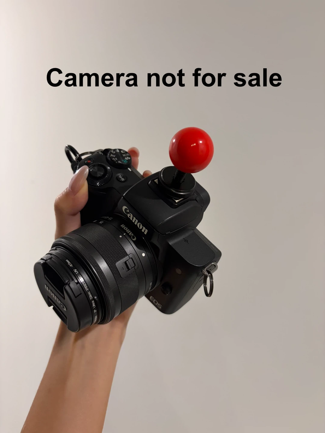 camera decoration camera