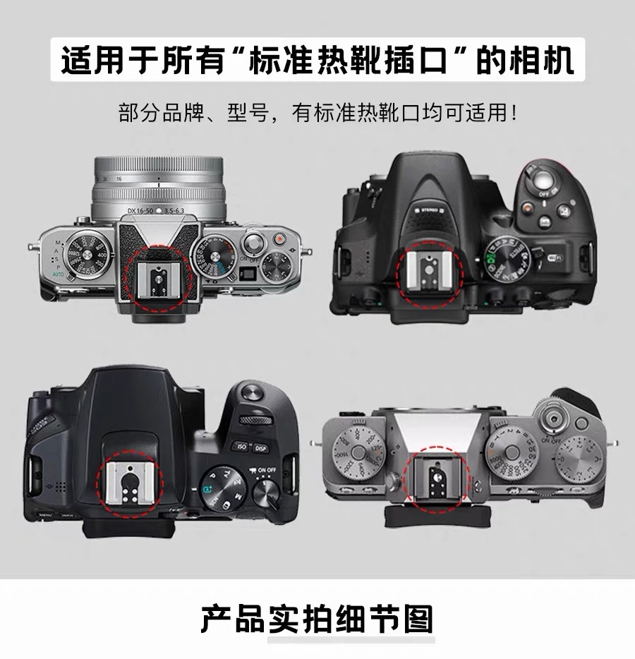 camera decoration camera - photo 3
