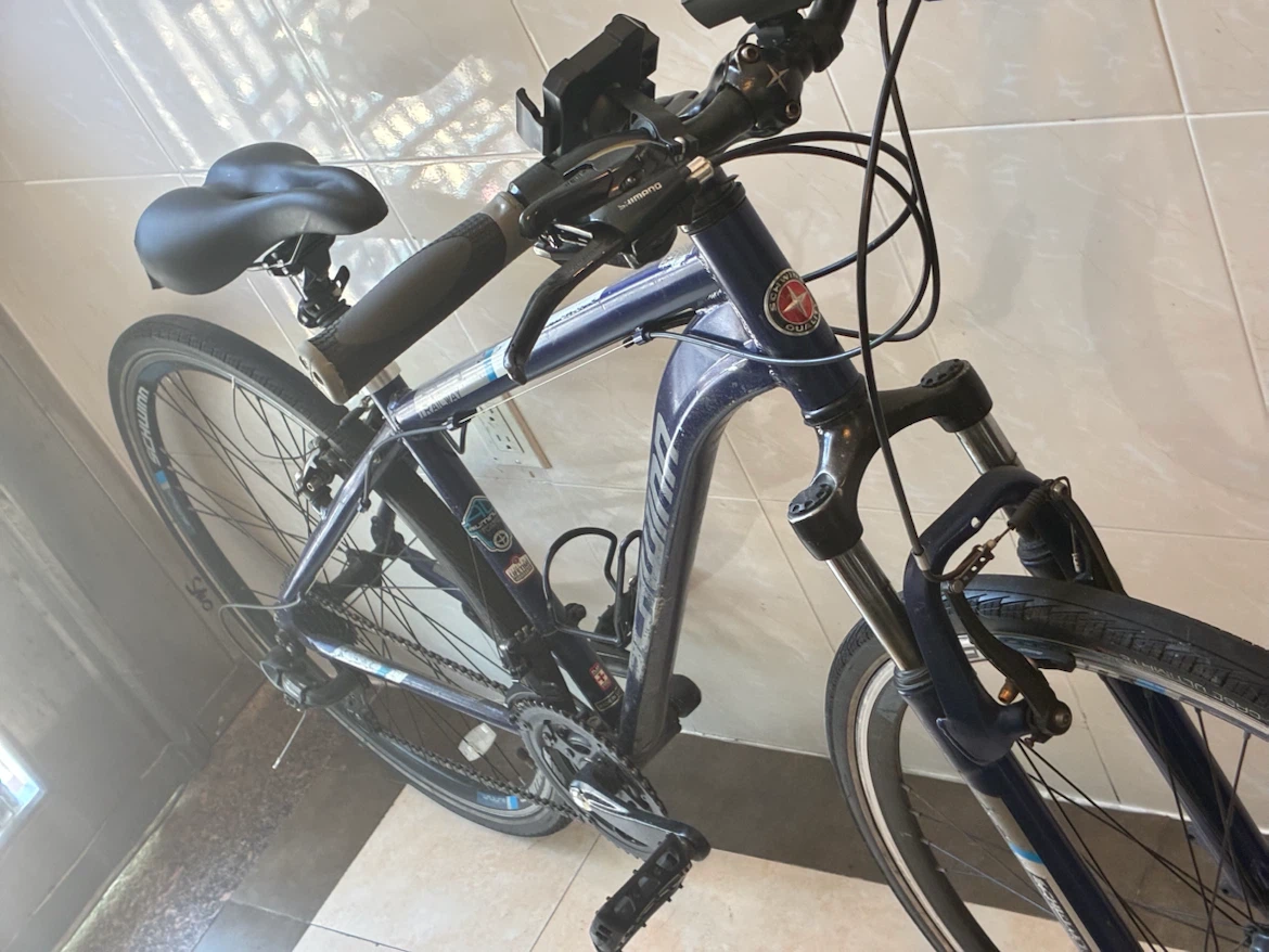 Schwinn bike