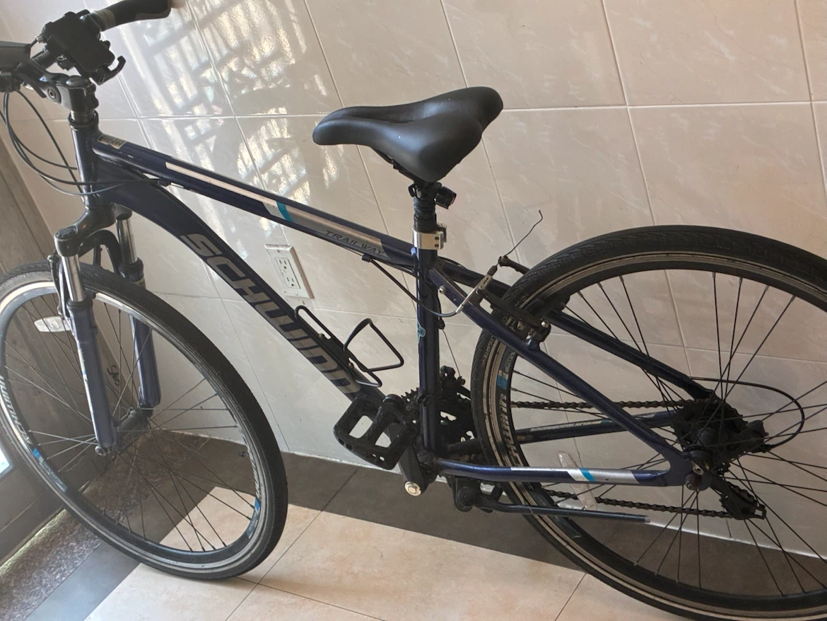 Schwinn bike - photo 3