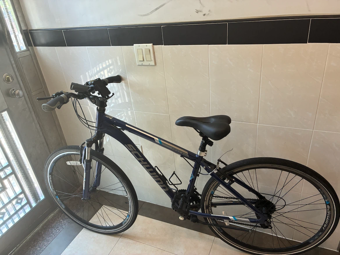 Schwinn bike - photo 4