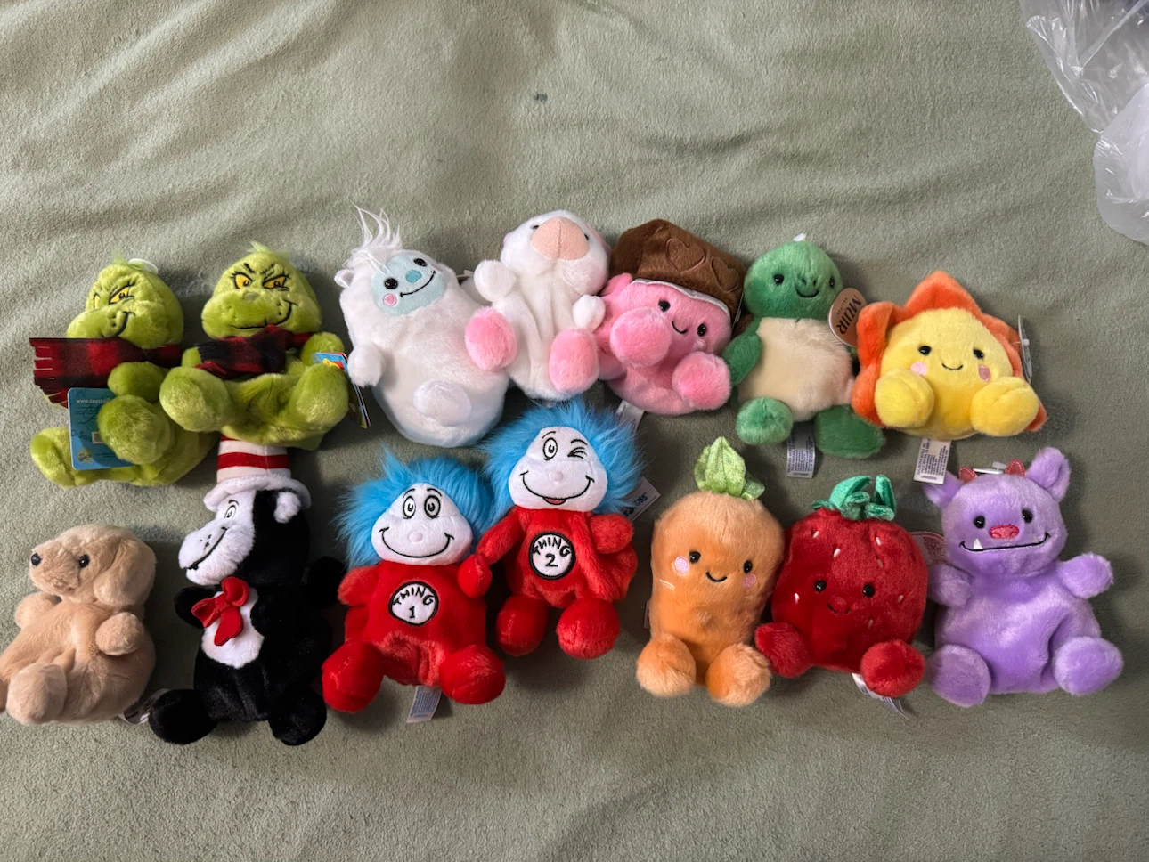 Palm Pal lot