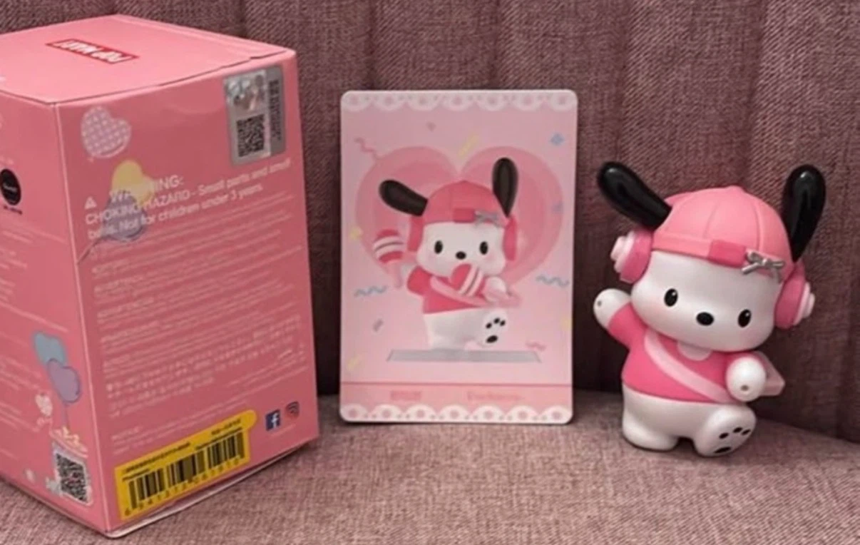 Sanrio Pochacco Figure